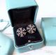 AAA Fake Tiffany Diamond Snowflake Earrings Price - 925 Silver (2)_th.jpg